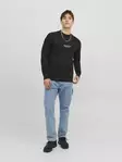Jack&Jones Vesterbro miesten collegepaita musta - Miesten pitkähihaiset paidat - 135115 - 3