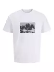 Jack&Jones miesten t-paita Version Crew Neck valkoinen - Miesten T-paidat - 138625 - 1