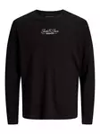 Jack&Jones pitkähihainen puuvillapaita Blalucas - Tröjor för herrar - 142256 - 1