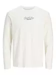 Jack&Jones pitkähihainen puuvillapaita Blalucas - Tröjor för herrar - 142256 - 2