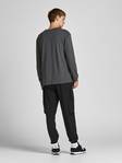 Jack&Jones miesten pitkähihainen paita Classic crew neck - Miesten pitkähihaiset paidat - 129858 - 6