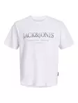 Jack&Jones miesten t-paita Devin Daytona Print Tee - Miesten T-paidat - 140289 - 2